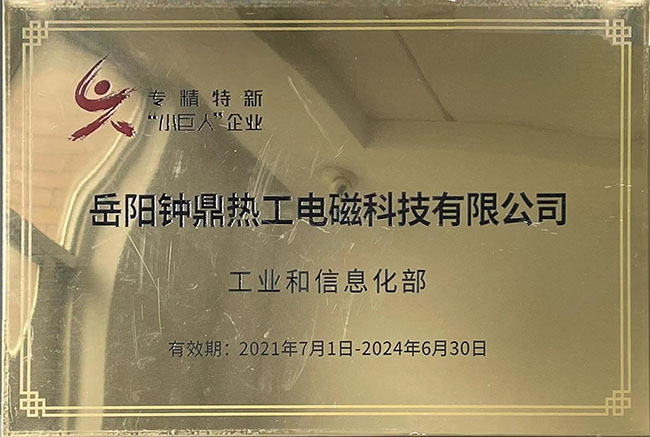 專精特新“小巨人”企業